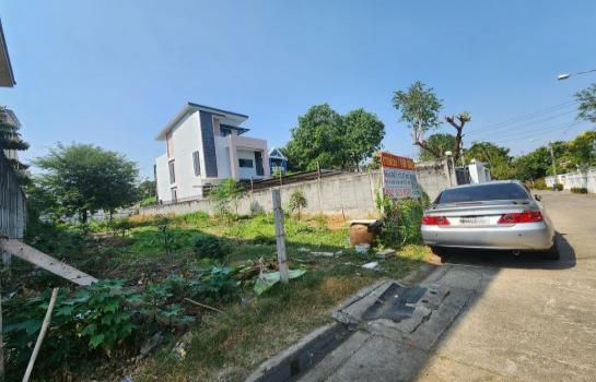 ที่ดิน lotus ที่ดิน lotus