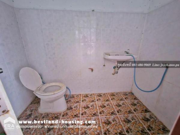 �Ҥ�þҳԪ���վ�鹷���ҹ��ѧ �ҧ�л�