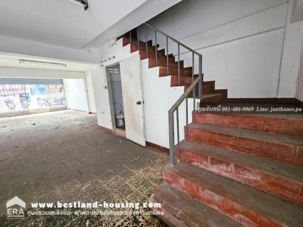 �Ҥ�þҳԪ��˹�ҡ��ҧ �ҧ�л�