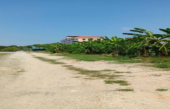 ���Թ 4 ���