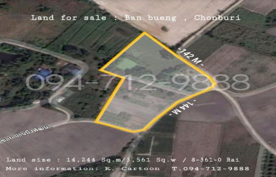 ที่ดิน lotus ที่ดิน lotus