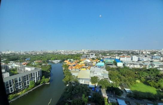 ���⢹� �� �����¹��� ���˹����ѧ�������Ѿ��