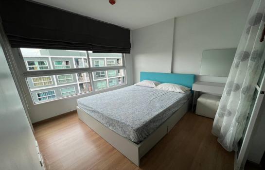 �ҧ�л� �� �����¹��� ���˹����ѧ�������Ѿ��