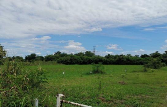 �����к��� �� pazarestate1