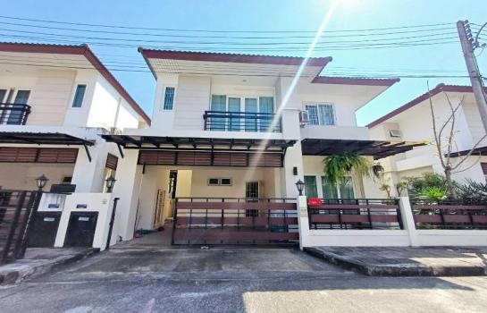 �Ң�ѭ �Ź�����