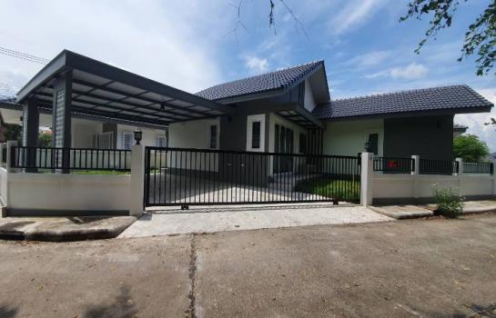 �ҧ�� �� �Ң�ѭ �Ź�����