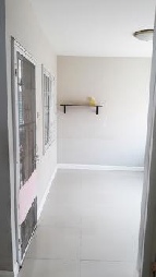 �����Һ�ҹ ��§����