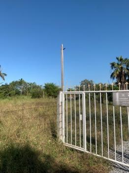 ���Թ������ �ҧ���