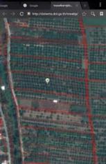 ��� ���Թ ����� ��§����