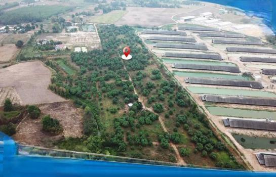 �ź��� �� TheEstate78924