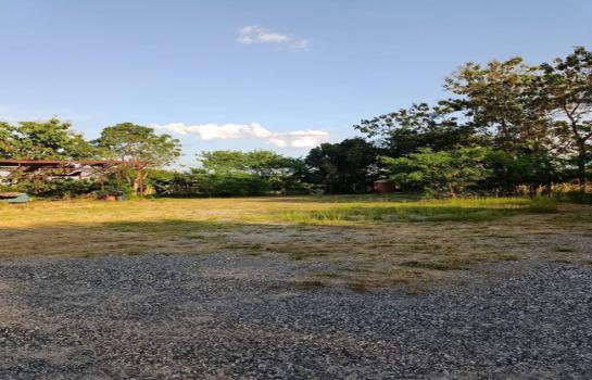 ���Թ 4 ���