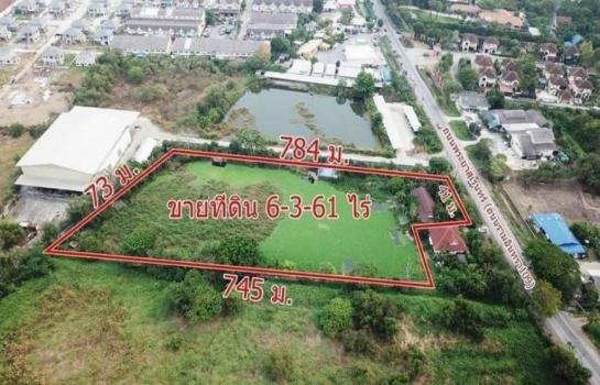 �չ���� �� TheEstate78924