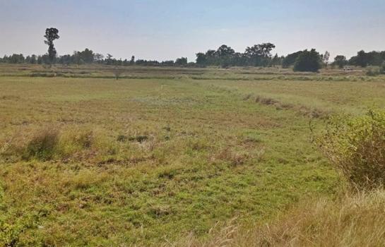 ������ �� panaya.opalopal