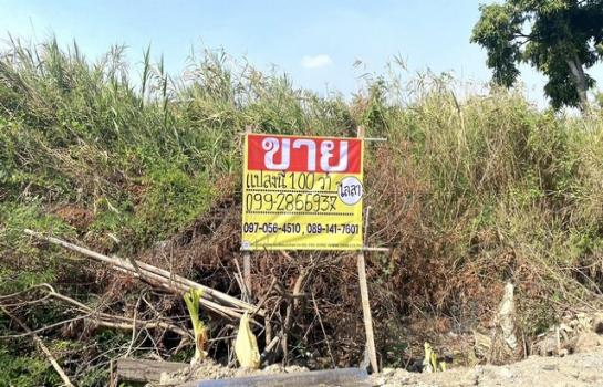 �Ҵ��кѧ �� zionasset1