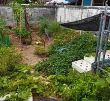 ��ا෾ �� Airatda