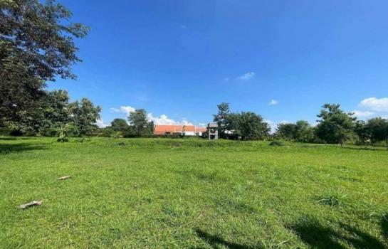 �ҧ�� �� northern1