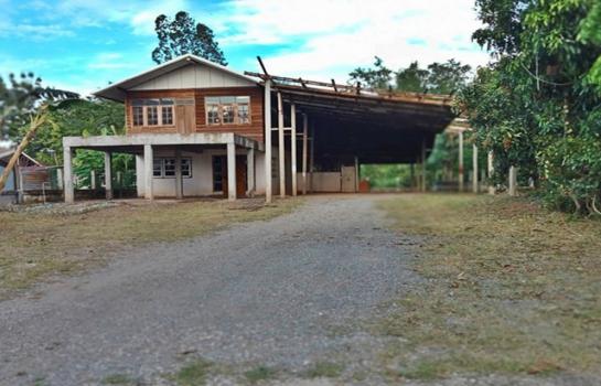 ��ª������ �� compos2566