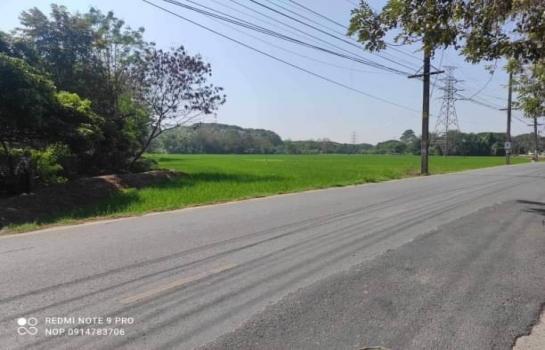 �ѹ���� �� northern1