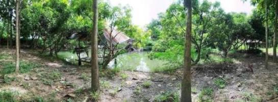 �ѹ���� �� northern1