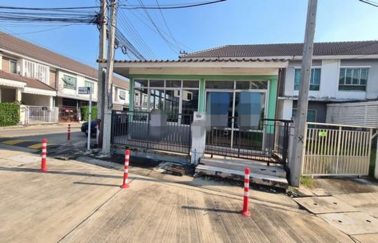 �ط����� �� panaya.opalopal