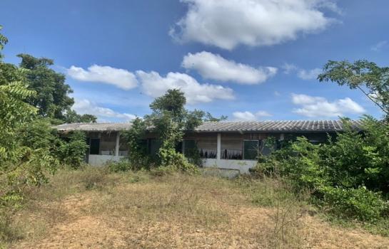 ���⡴ѧ �ѹ�Ҫ�¹ҷ