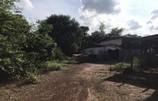 ��¹ҷ �� panaya.opalopal