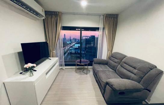 �Ҫ��� �� condoguru1