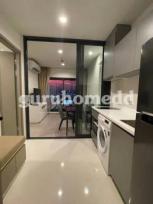 �͹� �Ҫ��� 33 ���ҧ����