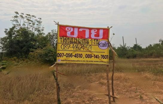 �Ҫ���� �� zionasset1