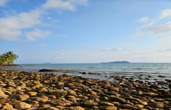 ��µ�Ҵ �� 1000property