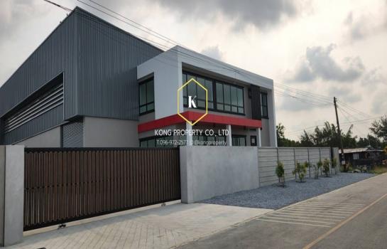 �ҧ�Ź �� Kong property