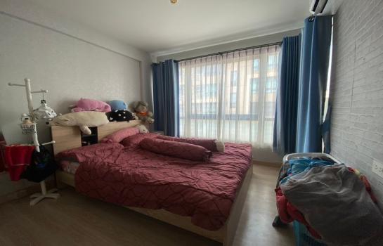 ���¢�ҧ �� Nititut