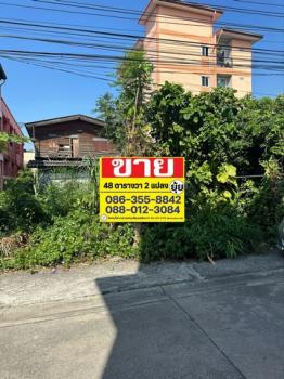 �ǹ��ǧ �� zionasset1