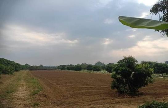 ����� �� onanong khumaphao