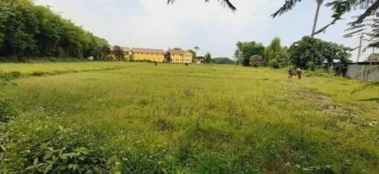 �ҧ�� �� northern1