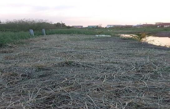 ��ا෾ �� pazarestate1