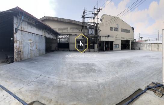 ⡴ѧ��ͧ��ǧ �� Kong property