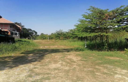 �ҧ�� �� TheEstate78924