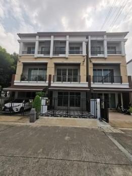 ��º֧���� �� coasset22