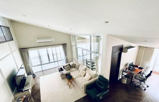 ����Ѳ�� �� coasset22