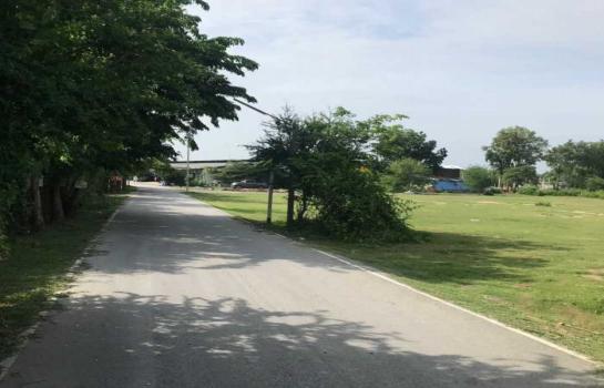 ��û�� �� The Vinvestor