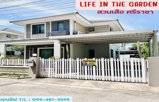 ��ªź��� �� Ingfar Pearkaew