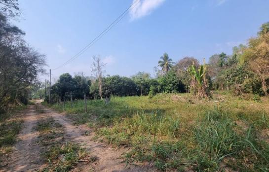 ���Թ���ᵧ �� Sawasdee