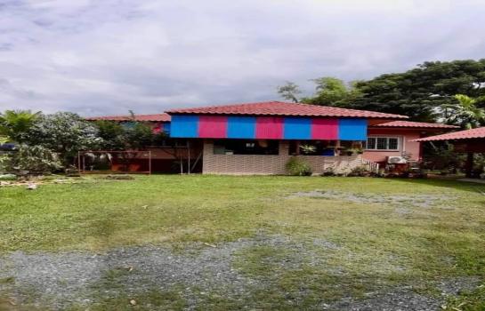 �ѹ���� �� northern1