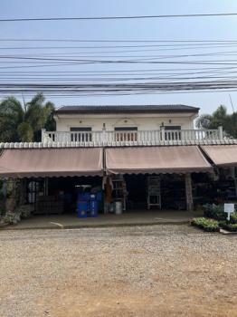 ����� �� sopa