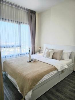 ��ا෾ �� sopa