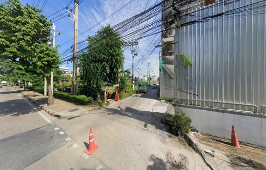 ���Թ�ҧ�� �� HarrisonTH