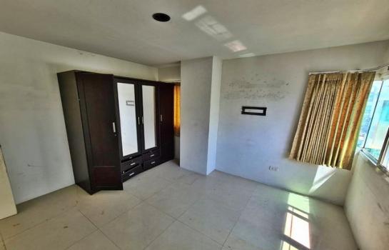 ��¹������ �� compos2566