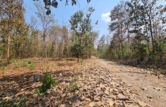 ���Թ���ᵧ �� Sawasdee