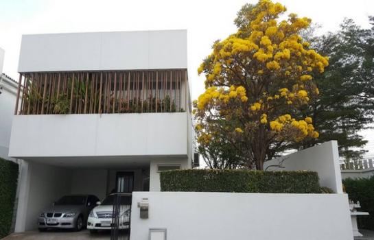 �ҧ�л� �� asangha PL